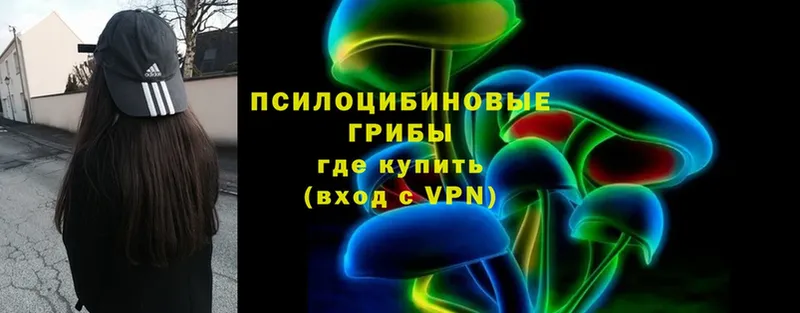 Галлюциногенные грибы Psilocybe  blacksprut tor  Крымск 